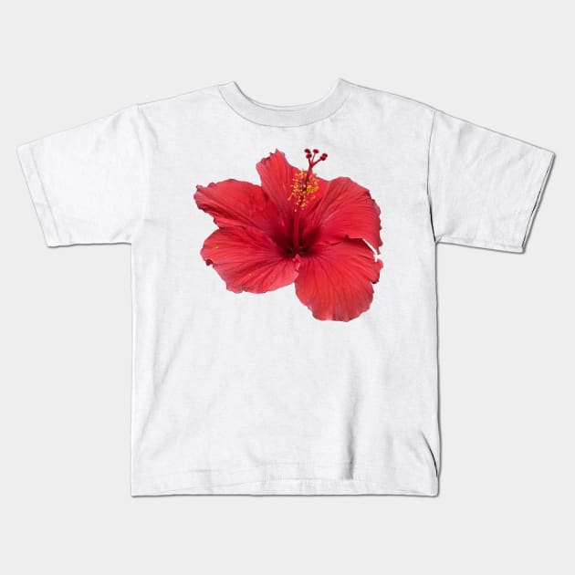 Red Hibiscus Kids T-Shirt by Sparkleweather